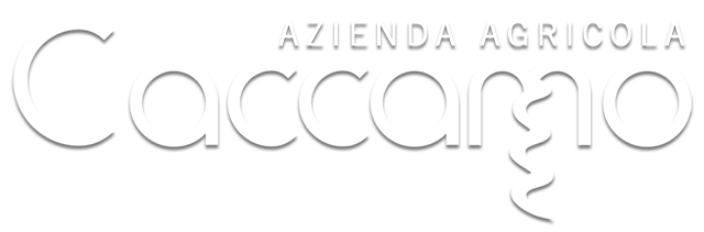 Azienda Agricola Caccamo